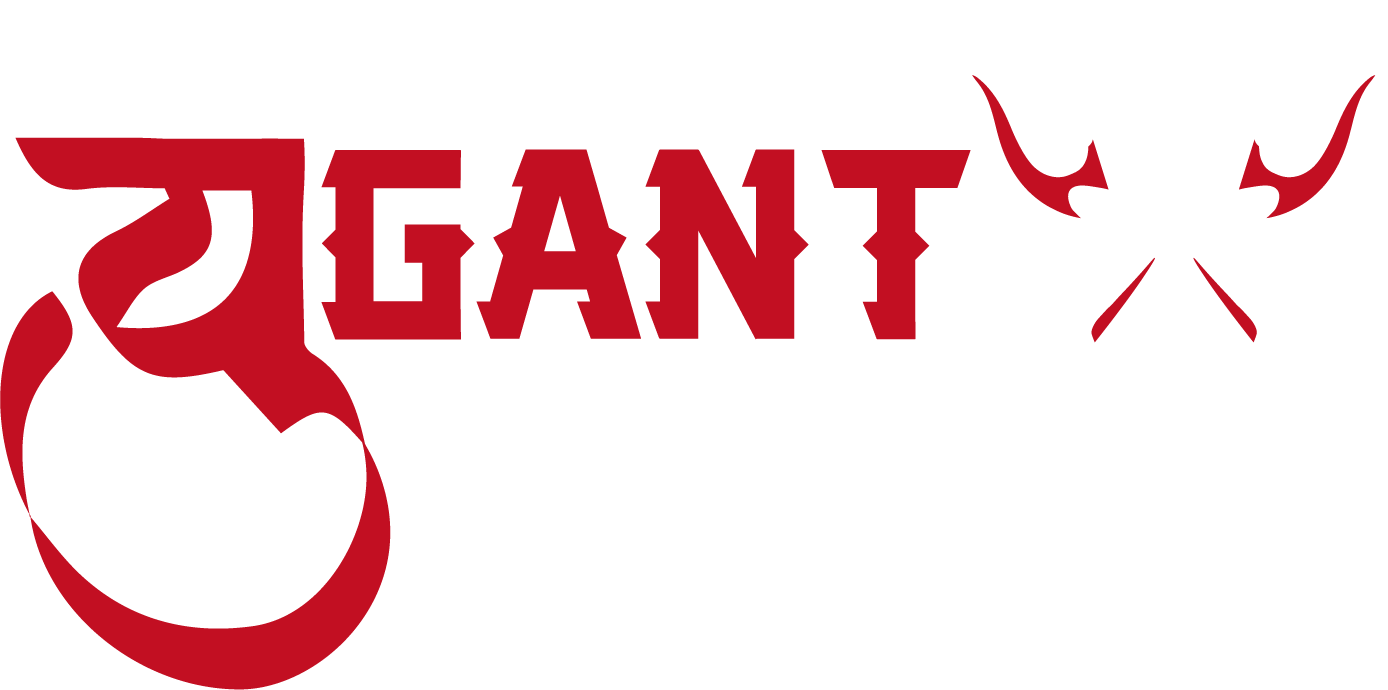 YUGANT X